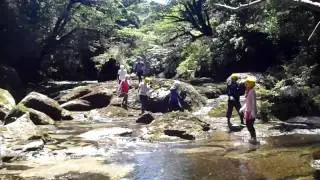 屋久島・淀川沢登り Yakushima Yodogo river. climbing a gorge