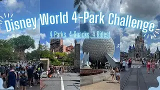 Walt Disney World 4-Park Challenge!