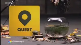 QUEST (UK) | Continuity | 21st February 2025 | TVRFS