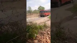 MSRTC LALPARI STATUS #shorts #msrtc #lalpari