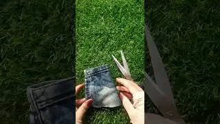 Diy T-Shirt For Kitten|No Sew&nbsp;#shorts #youtubeshorts #satisfying #diycraft