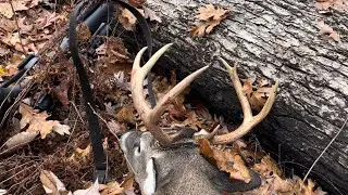Georgia white-tailed deer Hunt! (Public land Bonus buck)