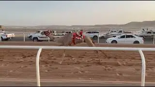 الشوط الثاني قعدان مفاريد رئيسي  المهندس لـ محمد بن راشد المحامض اليامي التوقيت : 2:1:44
