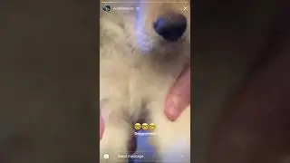 XXXTENTACION Instagram Story MARCH 1st 2018