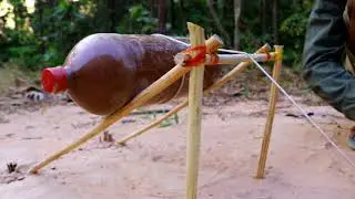 Creative Unique Wild Chickens Trap Using Bottle and Wood- Fantastic Wild Chicken Trap
