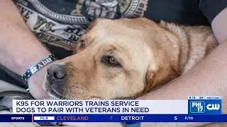 K9s For Warriors helps veterans with PTSD | PHL17 Morning News