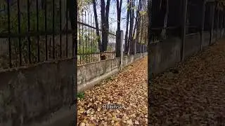 Rybinsk. Saturn stadium #love #autumn #walking #travelling #прогулкапогороду #пешкомпогороду #россия