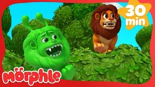 Real Lion, Green Lion | Morphle | Cars, Trucks & Vehicles Cartoon | Moonbug Kids
