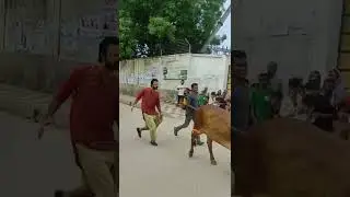Itel Ad Shooting | Afran Nisho | 2022 |