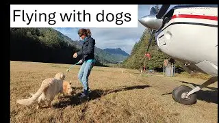 Flying into the Wild with Our Dogs: Exploring Washington's Most Remote and Stunning Airport!