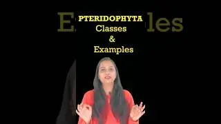 Pteridophytes | Plant Kingdom #shorts #ytshorts #biology #neet #neetbiology #class11 #short