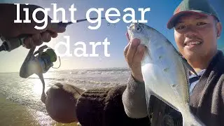 Swallowtail Dart | Fraser Island Catch and Cook