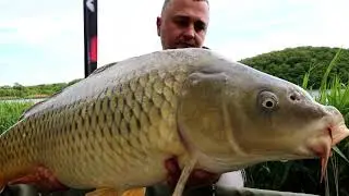 Target Baits Harsany Lake May 2019 by RappaFK