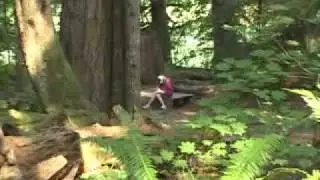 camp tadmor 2008
