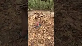 Cu Chi Tunnels in Vietnam in Ho Chi Minh City 🇻🇳 #vietnam #cuchitunnel #tunnels #vietnamwar