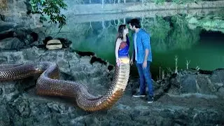 बब्बल ने जाना अपनी पत्नी का इच्छाधारी नागिन होने का सच | Icchapyaari Naagin | New Naagin Serial 2024