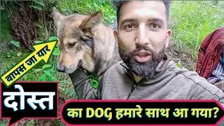 दोस्त का कुत्ता मेरे साथ आ गया यार ।।  वापस नहीं जा राहा ।। #Villagers_in_Himachal