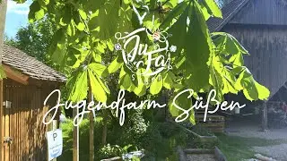 Ein magischer Ort