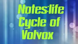 Notes :life Cycle of Volvox #bsc1 #important  reproduction in Volvox