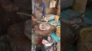 ⚡️🔥3KG Black Pomfret Cutting Like Butter 🔪🐟