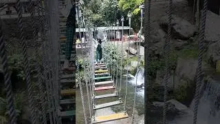 Darjeeling Adventure activities.#shortsfeed #ytshorts #youtubeshorts #shorts #feedshorts #adventure