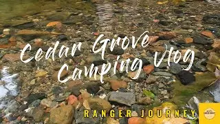 CEDAR GROVE CAMP | Rainforest Camping | Creek Camping | Camping in Australia | Ranger Journey