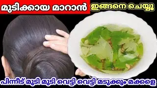 മുടിക്കായ മാറാൻ #kitchentips #tipsandtrick #youtubevideo #homeremady #everyone