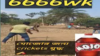 এমন দিন জীবনে আর আসবে না ফিরে। কত শত বহুবার কতভাবে আমরা এভাবে  খেলতাম। অথচ এখন আর আগের মতন এতো সময় 
