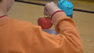 Hampden kids celebrate inaugural Maine Apple Crunch Day with synchronized bite