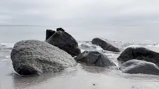 Moesgaard Strand 2025.10.27