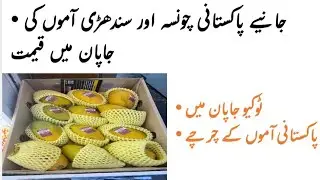 Price of Pakistani Chaunsa and Sindhari Mangoes in Tokyo , Japan- Pakistani Mangoes Abroad | Quality
