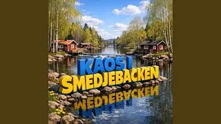 Kaos i Smedjebacken