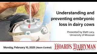 Webinar: Understanding and preventing embryonic loss in dairy cattle