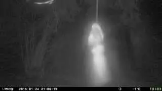 camera trail UWAY