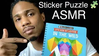 ASMR Animal Sticker Puzzle | Brain Games Sticker By Letter In The Wild 🧩🧩