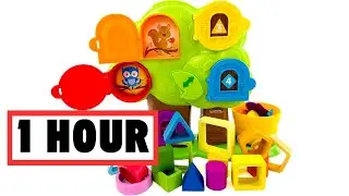 BEST Colors Shapes Toy Video! Shapes & Colors Educational Toy Learning Activity #preschool