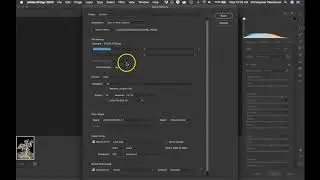 Bridge / Adobe Camera Raw - Save file for the web