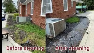 Relaxing Timelapse | Landscape Transformation (surprise visitor)