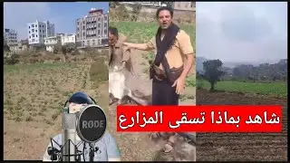 مشكله ري المزارع بمياه (المجاري) الصرف الصحي