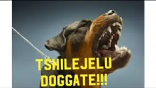 Tshijelelu Doggate