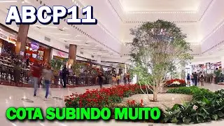 ABCP11, DIVIDENDOS, RISCOS, SITUA&Ccedil;&Atilde;O