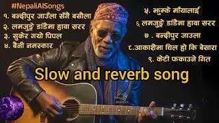 Slow and reverb nepali song &hearts;️🐻&zwj;❄️