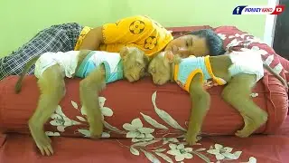Baby Monkey | Cuties LUNA And Adorable KAKO Lovely Sleeping Hug Long Pillow