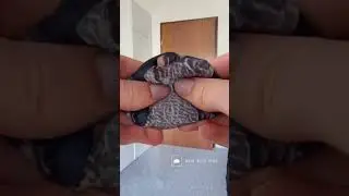 #squisheffect