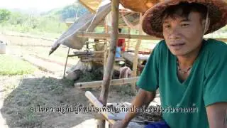 TOT Organic Agriculture by COERR Kanchanaburi