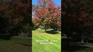 #fallincanada #beautifulnature