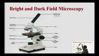 Study of Different Types of Phase Contrast Microscopy, Dark Field Microscopy