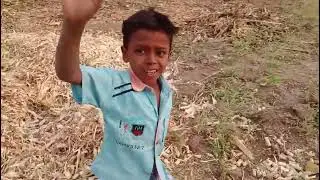 Gaon ka desi chana khane ke liye गाव का देसी चना खाने के लिए 🥰🤍