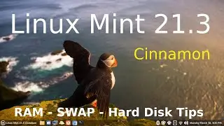 Linux Mint 21.3 - Cinnamon - RAM - swap - Hard Drive Usage Tips.