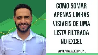 Como somar apenas linhas vísiveis em uma listar filtrada no Excel